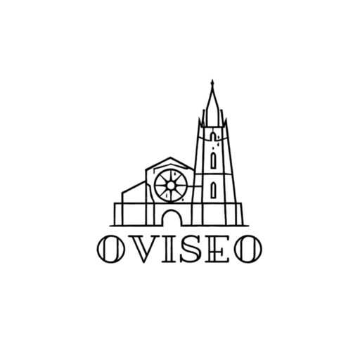 Oviseo | Marketing Digital en Oviedo
