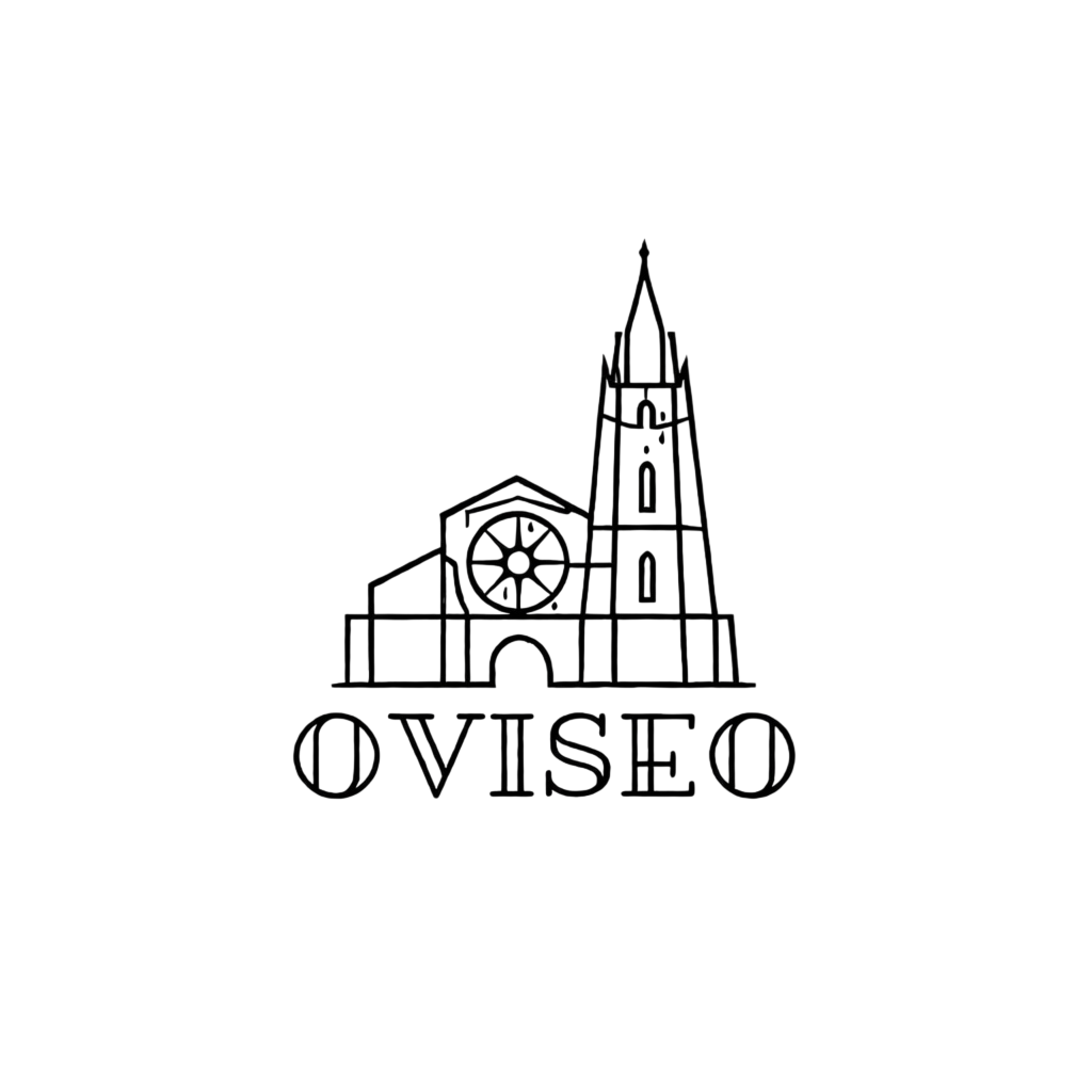 Oviseo | Marketing Digital en Oviedo